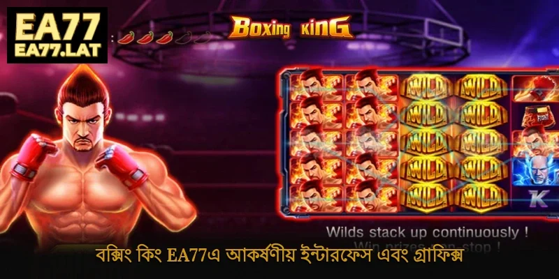 বক্সিং কিং Ea77-এ আকর্ষণীয় ইন্টারফেস এবং গ্রাফিক্স