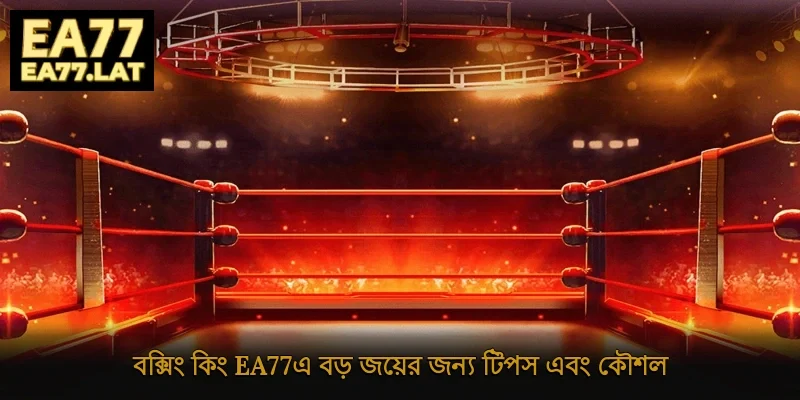 বক্সিং কিং Ea77-এ বড় জয়ের জন্য টিপস এবং কৌশল