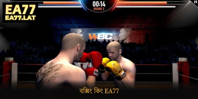 বক্সিং কিং Ea77